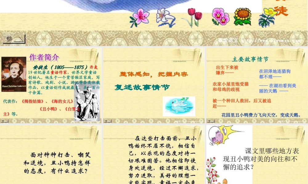 中学七年级语文下册(丑小鸭)课件2 新人教版 课件