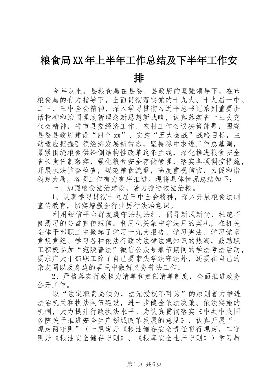 粮食局XX年上半年工作总结及下半年工作安排_第1页