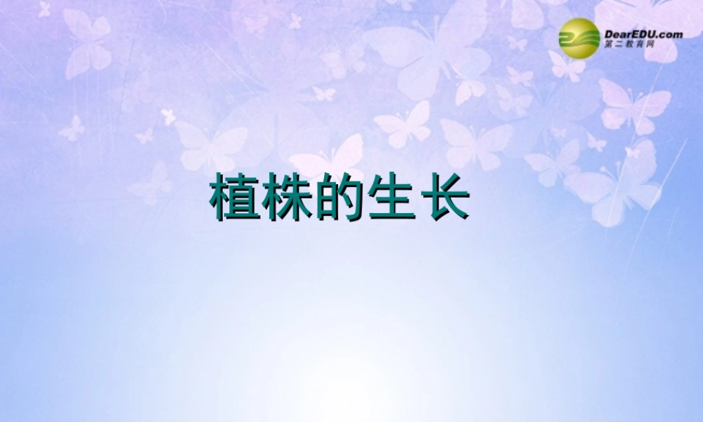 中学七年级生物上册 植株的生长课件 新人教版 课件