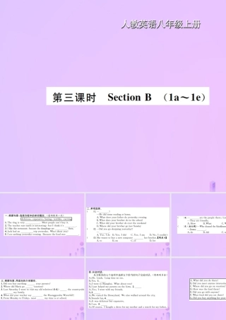 八年级英语上册 Unit 1 Where did you go on vscation(第3课时)Section B习题课件 (新版)人教新目标版 课件