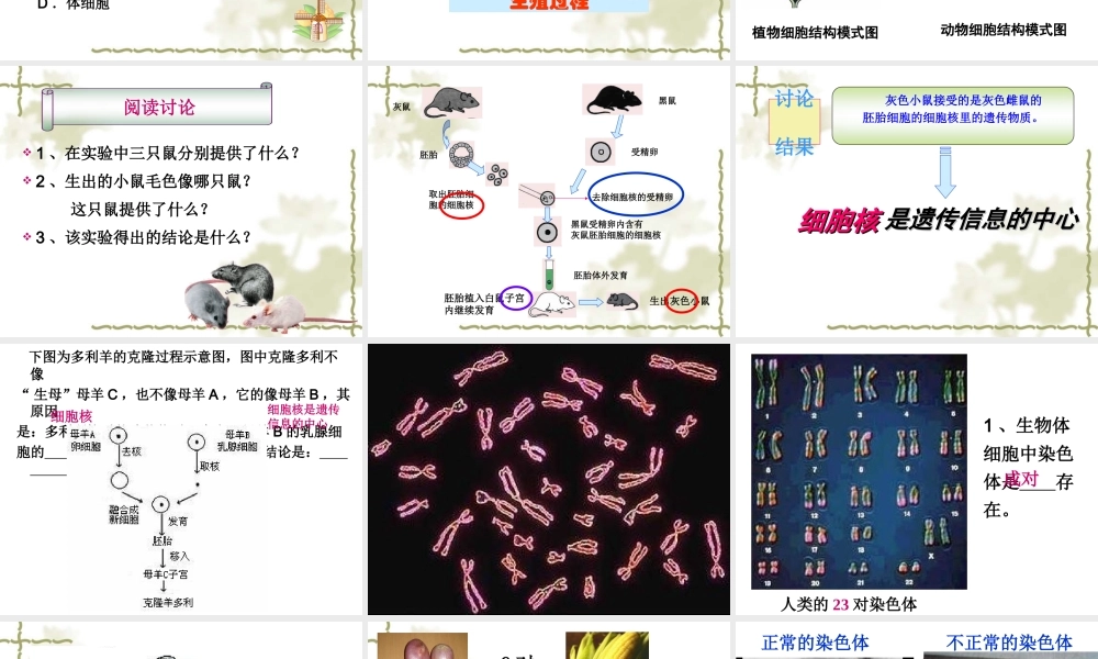3.1《DNA是主要的遗传物质》课件6
