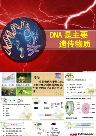 3.1《DNA是主要的遗传物质》课件6