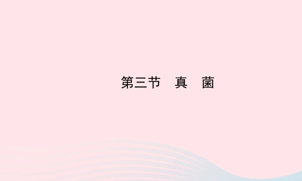 八年级生物上册 第五单元 第四章 第三节 真菌课件 (新版)新人教版