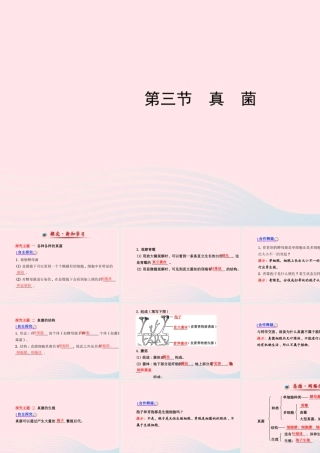 八年级生物上册 第五单元 第四章 第三节 真菌课件 (新版)新人教版