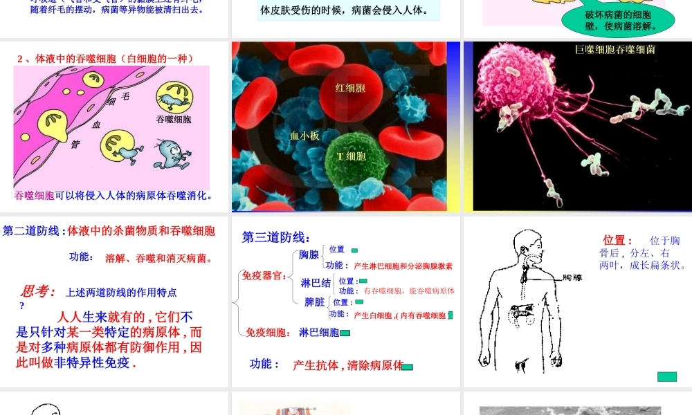 八年级生物上册第18章第三节 免疫 课件苏教版 课件