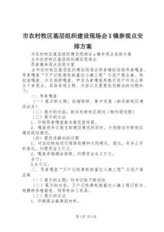 市农村牧区基层组织建设现场会X镇参观点安排方案