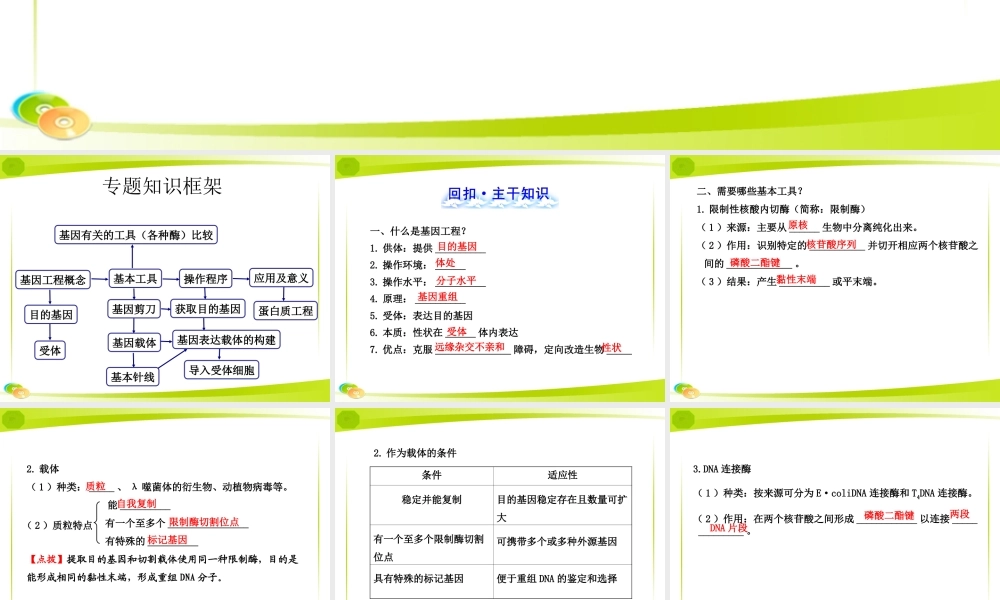 复习-DNA重组技术的基本工具