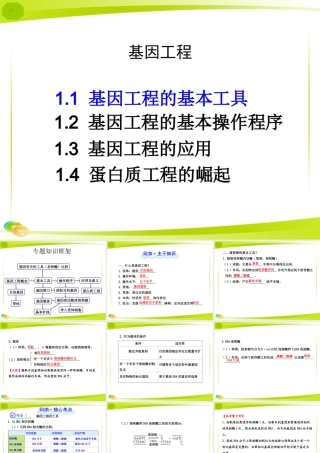 复习-DNA重组技术的基本工具