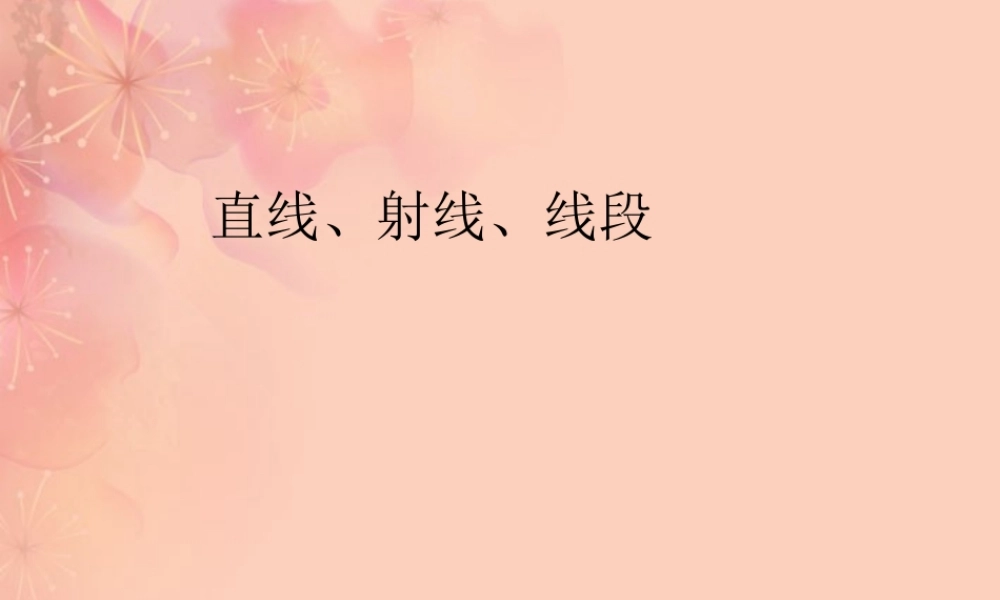 广东省珠海市七年级数学上册 直线、射线、线段课件 新人教版 课件