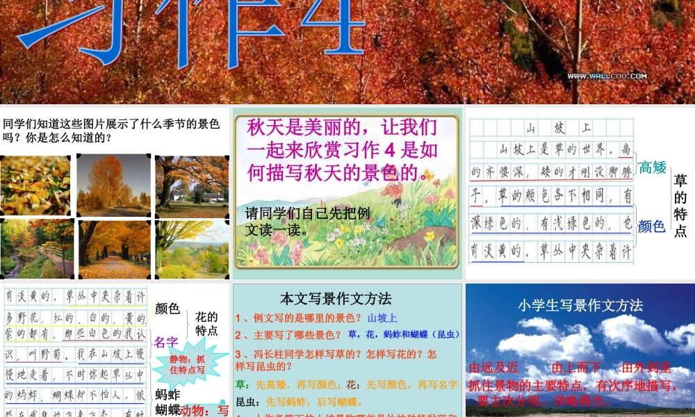 苏教版语文三年级上习作4完美版