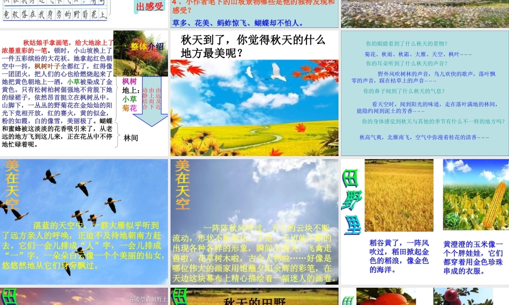 苏教版语文三年级上习作4完美版