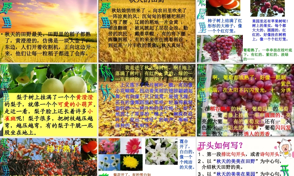 苏教版语文三年级上习作4完美版