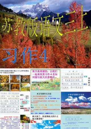 苏教版语文三年级上习作4完美版