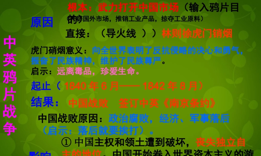 八年级历史上册 第2课 劫难中的战争课件 北师大版 课件