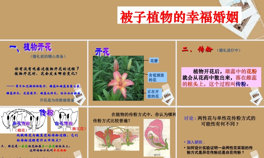 七年级科学下册 第一章 第五节 植物生殖方式的多样性课件 浙教版 课件