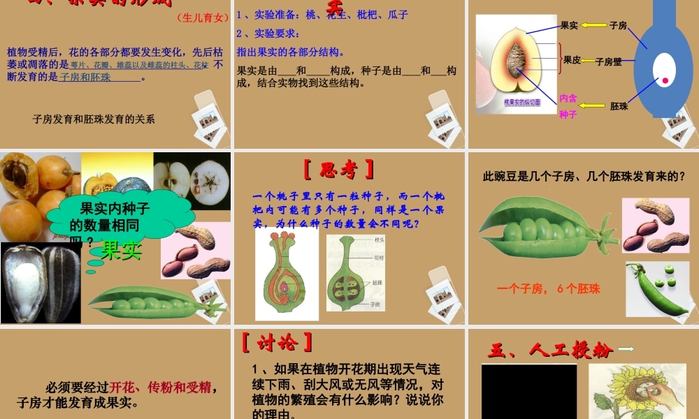七年级科学下册 第一章 第五节 植物生殖方式的多样性课件 浙教版 课件