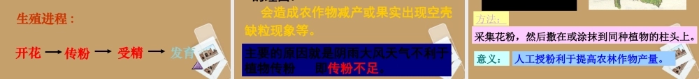 七年级科学下册 第一章 第五节 植物生殖方式的多样性课件 浙教版 课件