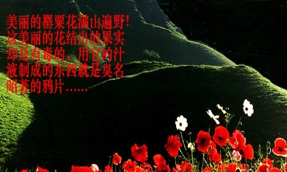 八年级历史 鸦片战争(7) 课件