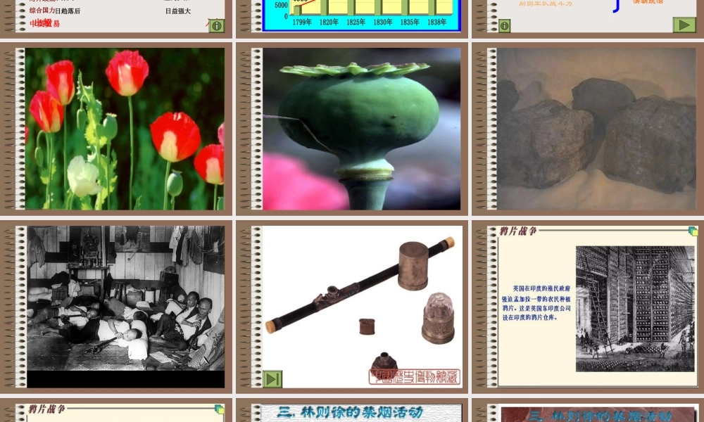 八年级历史 鸦片战争(7) 课件