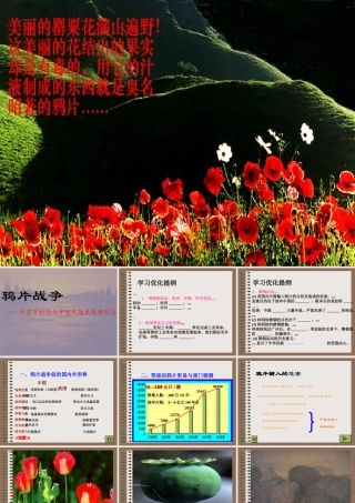 八年级历史 鸦片战争(7) 课件