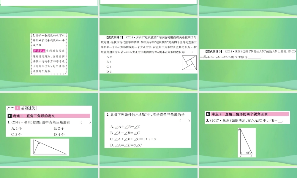 中考数学复习 第四单元 图形的初步认识与三角形 第16讲 直角三角形课件