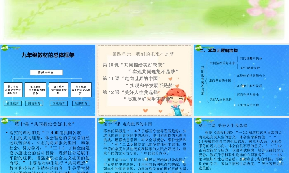 九年级思想品德 第四单元(我们的未来不是梦)复习课件 鲁教版 课件