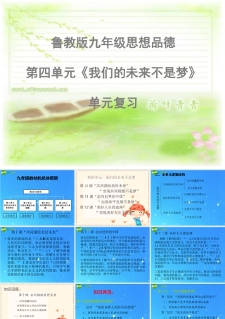 九年级思想品德 第四单元(我们的未来不是梦)复习课件 鲁教版 课件