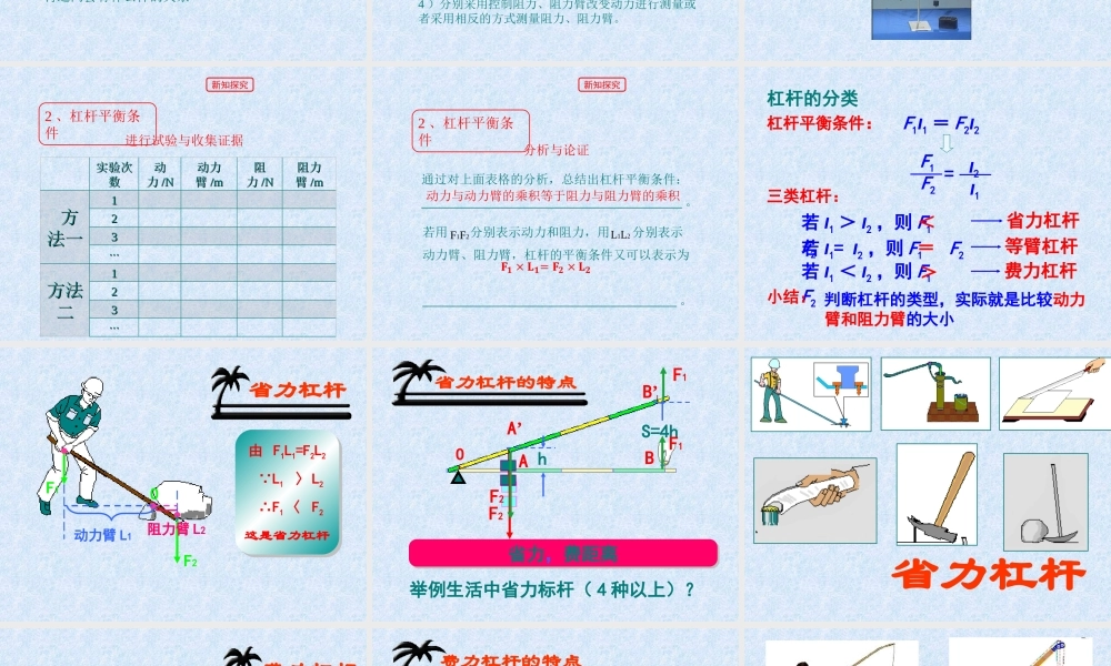 二、学生实验：探究杠杆-(2)