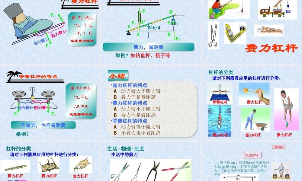 二、学生实验：探究杠杆-(2)