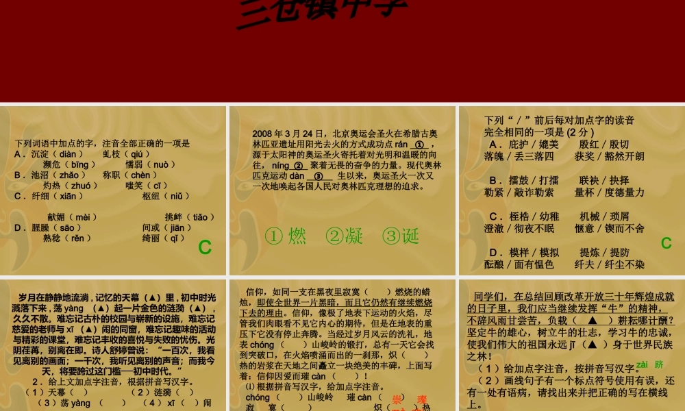 初中语文中考字音练习课件苏科版 课件