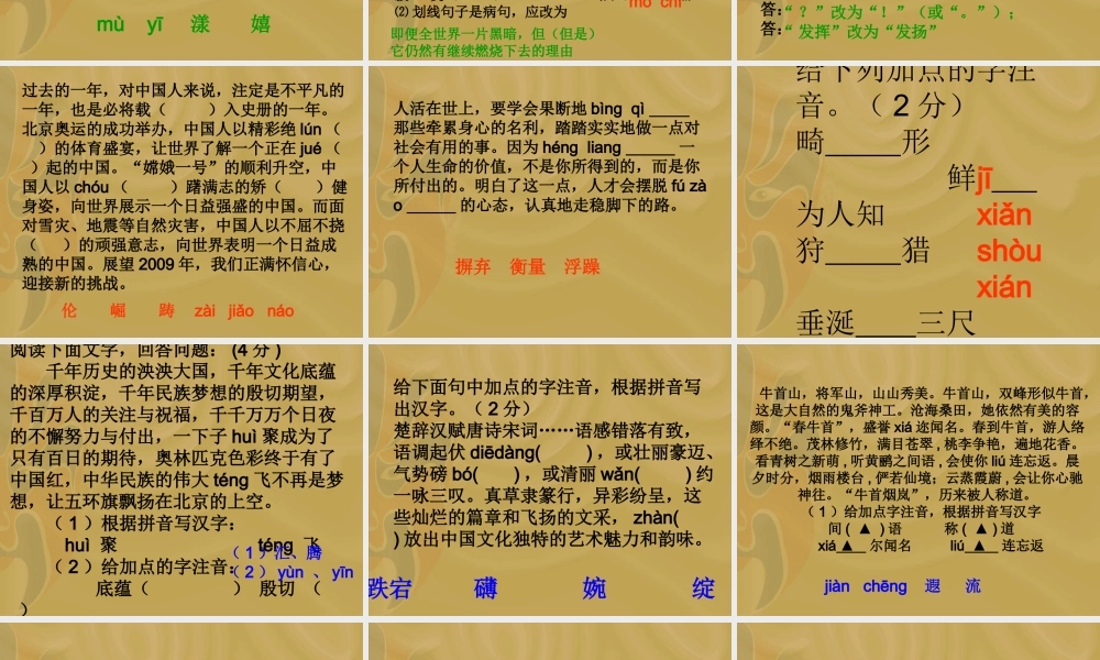 初中语文中考字音练习课件苏科版 课件