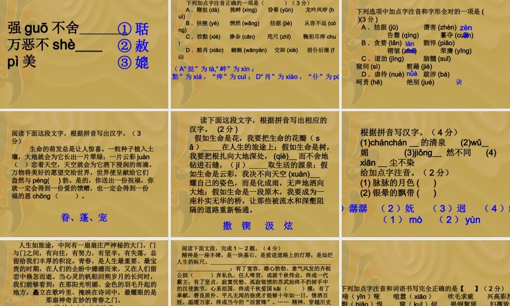 初中语文中考字音练习课件苏科版 课件