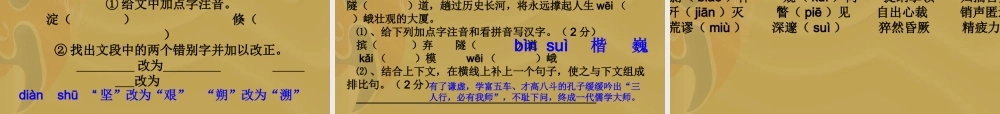 初中语文中考字音练习课件苏科版 课件