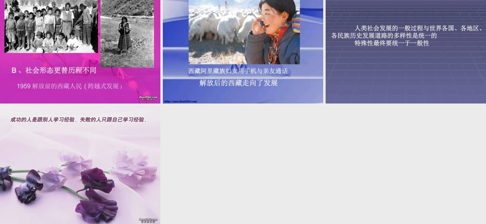 初三政治人类社会发展历程 人教版 课件