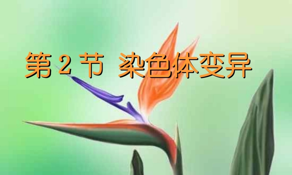 5.2《染色体变异》-课件-李四新