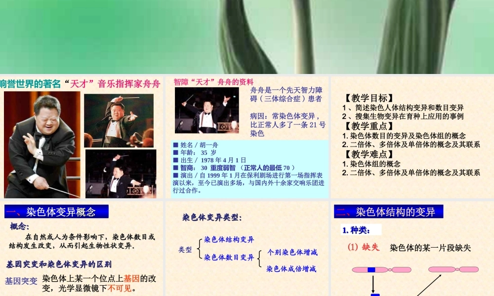 5.2《染色体变异》-课件-李四新