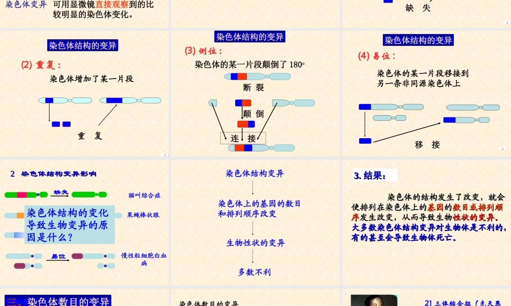 5.2《染色体变异》-课件-李四新