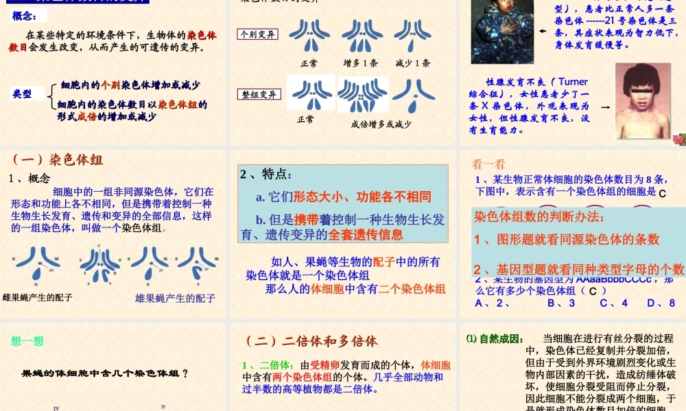 5.2《染色体变异》-课件-李四新