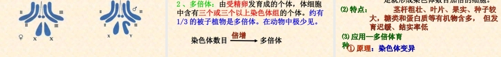 5.2《染色体变异》-课件-李四新