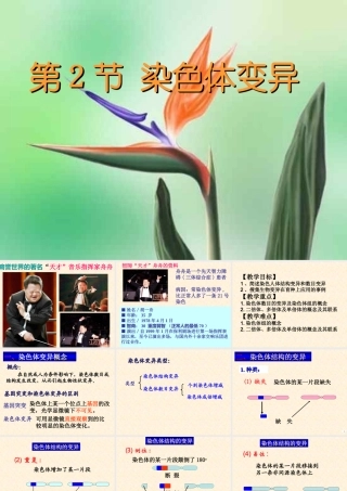 5.2《染色体变异》-课件-李四新
