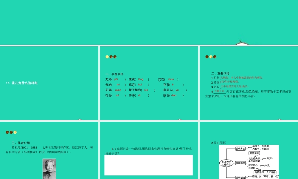 八年级语文上册 第五单元 17 花儿为什么这样红课件 语文版 课件