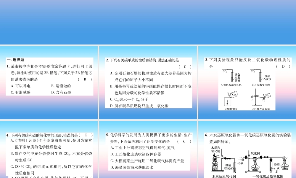 中考化学复习 第1编 教材知识梳理篇 第6单元 碳和碳的氧化物(精练)课件