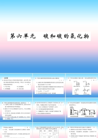 中考化学复习 第1编 教材知识梳理篇 第6单元 碳和碳的氧化物(精练)课件