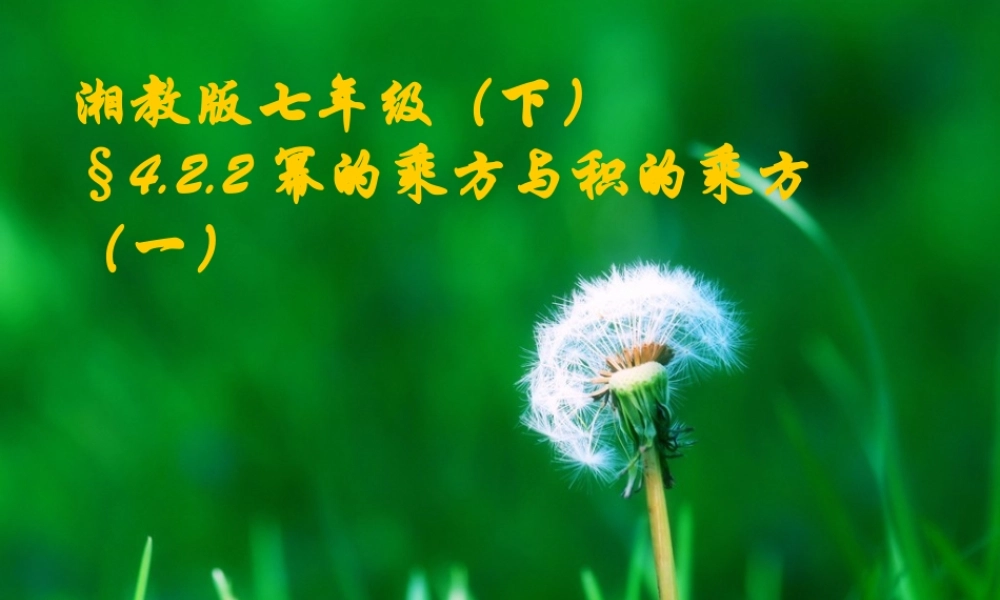 七年级数学下册 第四章 幂的乘方课件湘教版 课件