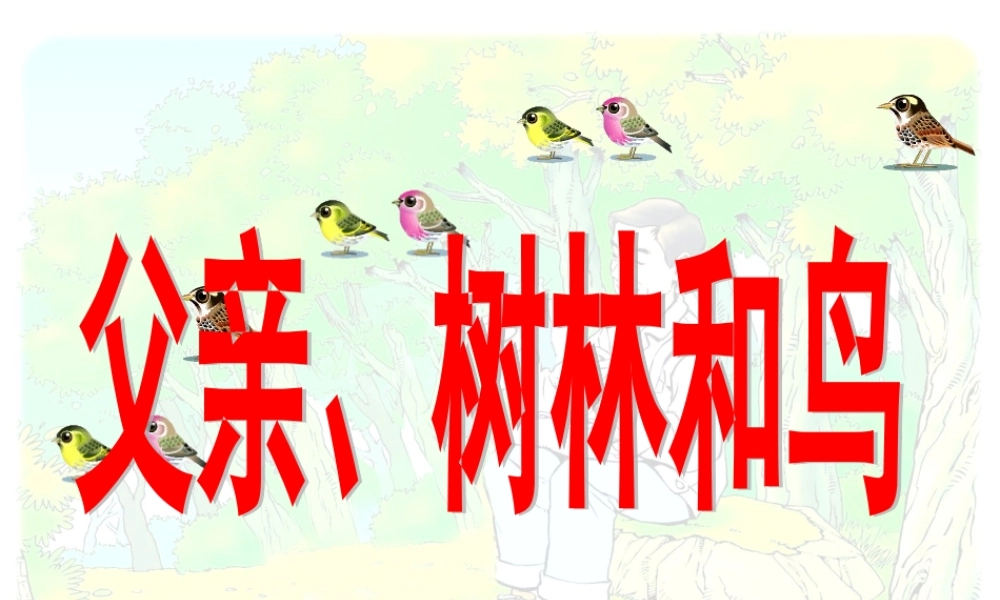 26父亲-树林和鸟