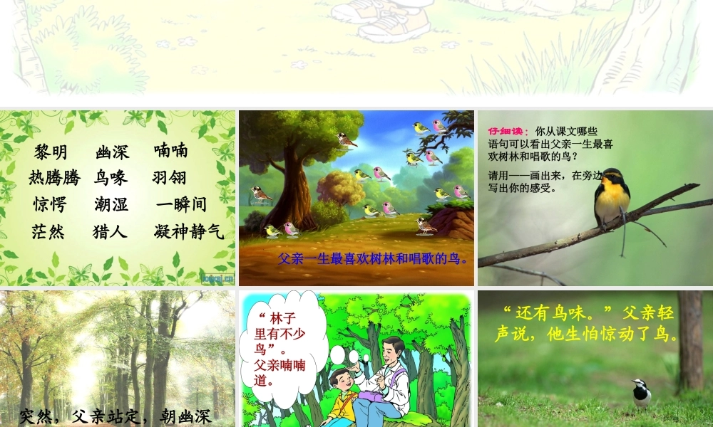 26父亲-树林和鸟