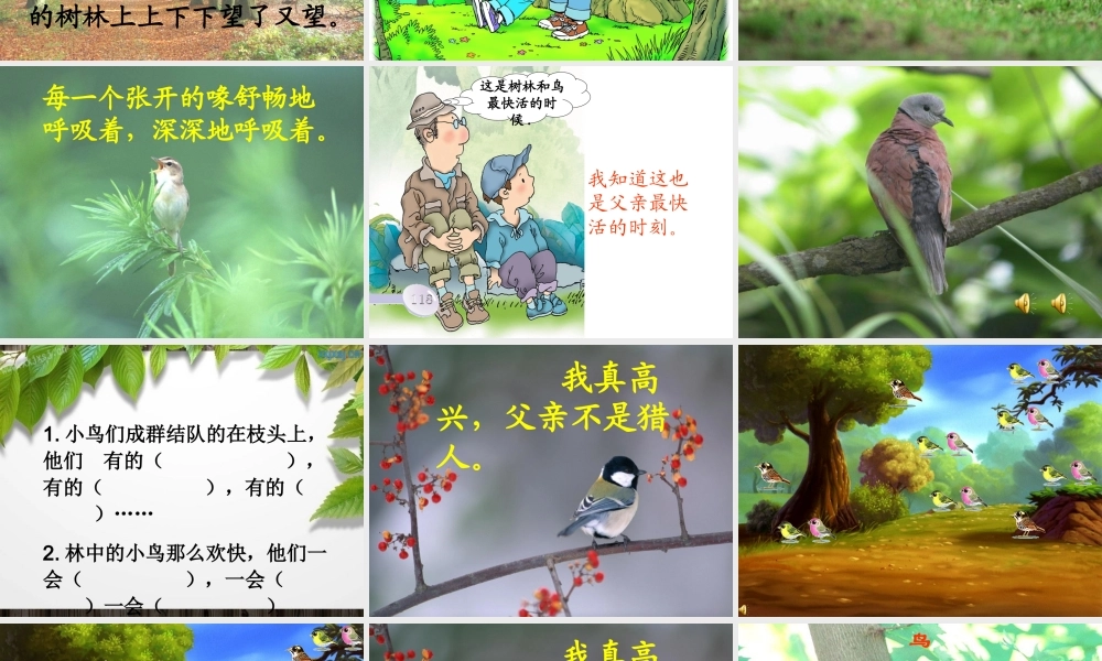 26父亲-树林和鸟