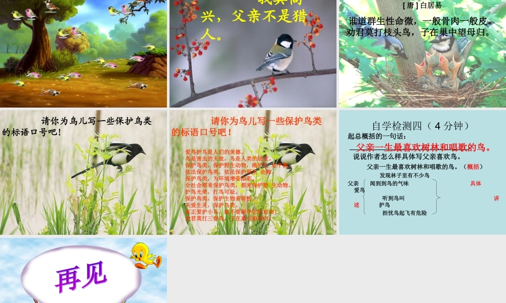 26父亲-树林和鸟