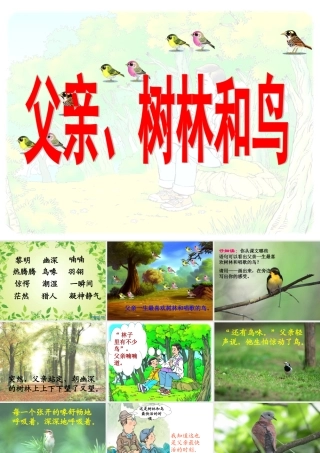 26父亲-树林和鸟