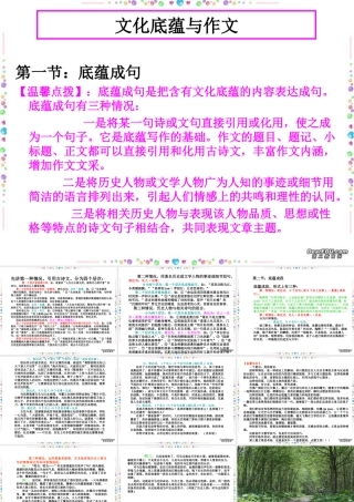 文化底蕴与作文 新课标 人教版0 课件